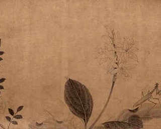 养螃蟹挣钱吗 小说
