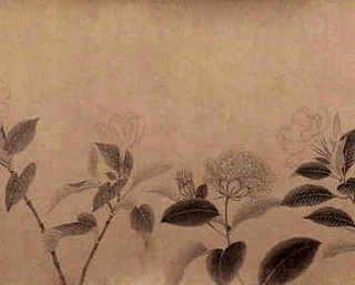 养小螃蟹螃蟹吃什么，螃蟹怎么养小螃蟹