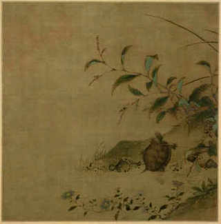 淡水螃蟹能在海里养吗