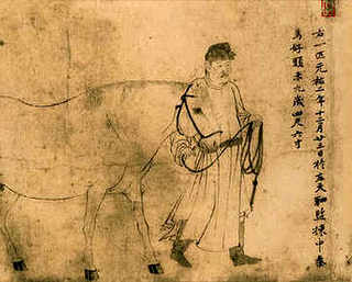 家里养螃蟹的风水，家里养螃蟹的风水解说