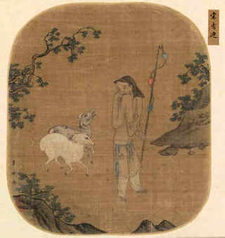 金钱龟为啥要比巴西龟要贵呢