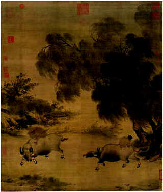 养螃蟹能吃什么
