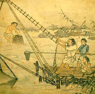 兰花盆栽养殖方法，蝴蝶兰兰花盆栽养殖方法