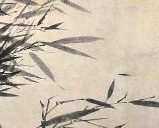 秋冬季节适合养殖什么好处，秋冬季节养殖什么投入小
