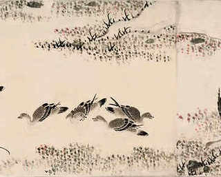 虾对水质要求，养殖虾水质管理