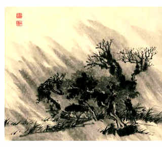 养殖娃娃鱼的成本，养殖娃娃鱼的成本