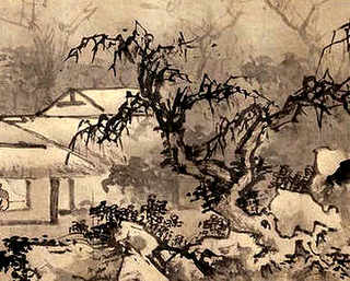 养蜜蜂高清视频，怎样正确养蜜蜂