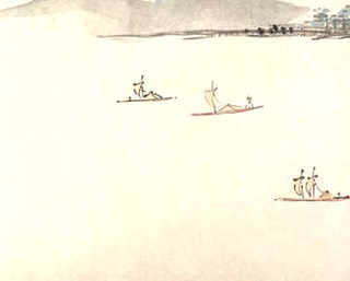 黄色铁海棠花，铁海棠花养殖