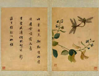 鲴鱼养殖，黄鲴鱼养殖