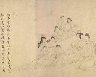 甲鱼仿生态养殖，仿生态环境养殖甲鱼