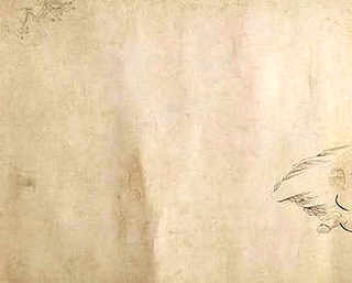 黄喉拟水龟成体最大的品种，成体黄喉龟大概多少钱一只
