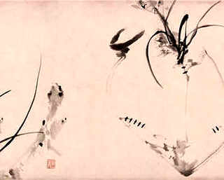 种鹅明年养殖前景，四季鹅养殖前景如何