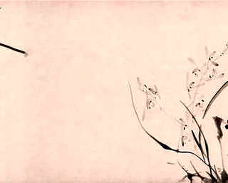 养殖泰鳄视频，泰鳄养殖