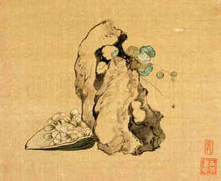 小麦苗养殖羊，小麦养殖育肥羊