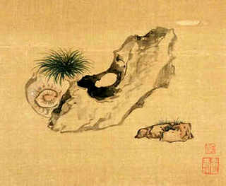 养殖库拉索芦荟应该注意些什么，库拉索芦荟的养殖方法怎么栽培