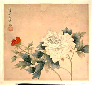蜂窝是怎么形成的过程，蜂窝一般多久形成