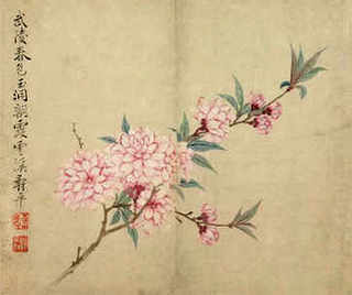 澳洲小龙虾养殖，小龙虾养殖情况