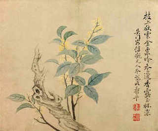 山林养殖业项目推荐，山林养殖好项目