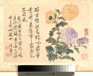 循环水养殖如何调水，循环水养殖方法大全
