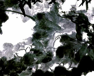 中华鲟养殖的可以吃吗，中华鲟养殖