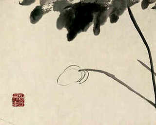 养蛇温度和湿度多少合适，养蛇是适温度是多少