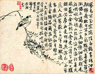养殖业什么前景最好，养殖业什么前景最好养殖荷兰猪