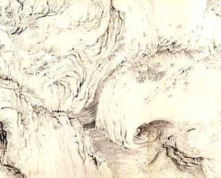七彩山鸡吃什么食物，七彩山鸡吃什么提性