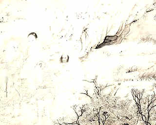 孔雀养殖的骗局，孔雀的养殖方法