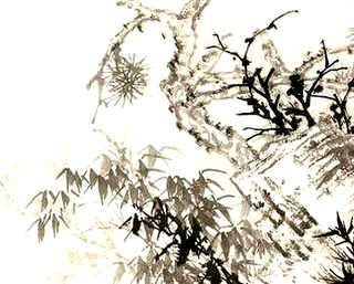 洒生石灰到鸡舍要几天就可以放鸡就进去