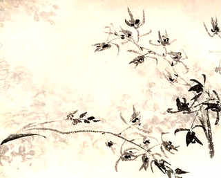 竹鼠怀孕的症状，怀孕竹鼠养殖方法