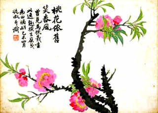 一亩产小龙虾多少斤，小龙虾养殖亩产效益