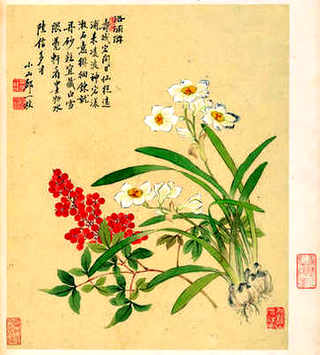 金钱龟繁殖品相和种龟有关系吗，金钱龟与什么龟杂交后-龟苗像金钱龟苗