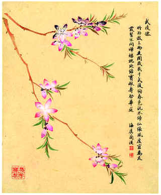 养殖泥鳅黄鳝视频，养殖黄鳝泥鳅赚钱