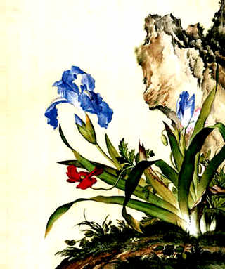 南沙虾养殖地，番禺养殖虾