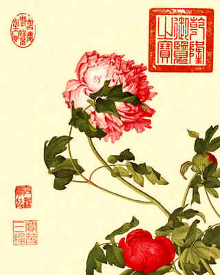 蜜蜂养殖一中蜂早春管理，黑龙江早春蜜蜂管理
