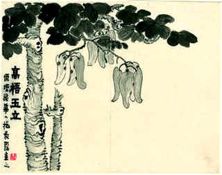 养蛇没办证有补钱吗，养蛇需要办证吗