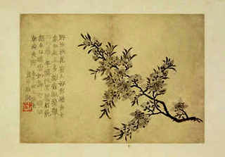 水獭的养殖前景，养殖水獭与销路