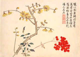 养殖小龙虾怎么调水，小龙虾投苗前调水