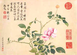 蚯蚓养殖培训学校在哪里，蚯蚓养殖培训