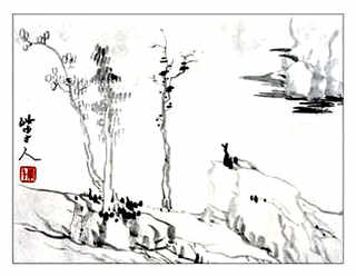 虎斑乌贼养殖，虎斑乌贼饲养