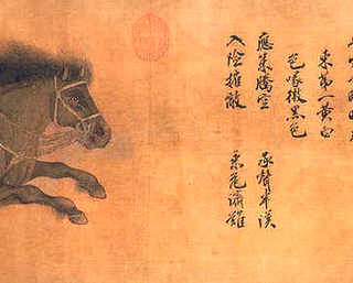 德清青虾放养密度，春季青虾养殖密度
