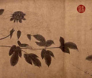 我国水产新品种的养殖状况，水产养殖新品种的发展现状及趋势