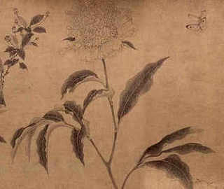 小鸡能吃什么，小鸡能吃什么食物