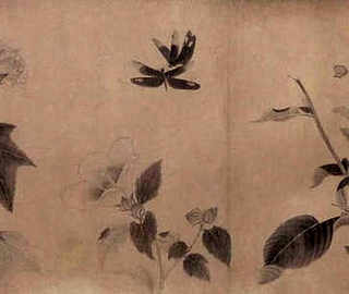 黄鳗鱼制作方法，养殖黄鳗鱼
