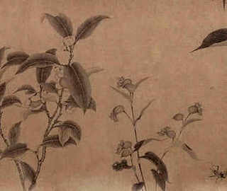 蜜蜂在冬天干吗的-睡觉，蜜蜂冬天晚上是怎样睡觉