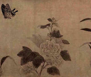 蜜蜂发现蜜源-通过什么方法来给同伴们传递消，蜜蜂通过舞蹈向同伴传递蜜源