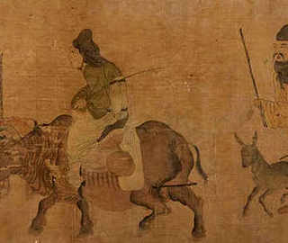 散养野兔围栏图片，野兔养殖铁丝网图片