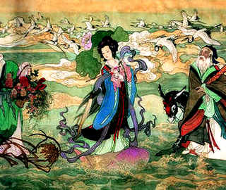 红螯螯虾养殖，澳洲红螯龙虾养殖