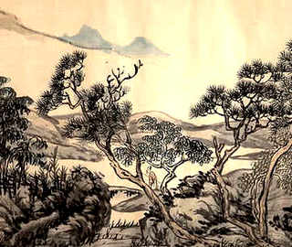 山蝎的养殖方法，野生蝎如何养殖
