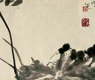 金蝉养殖几年，沂南金蝉养殖